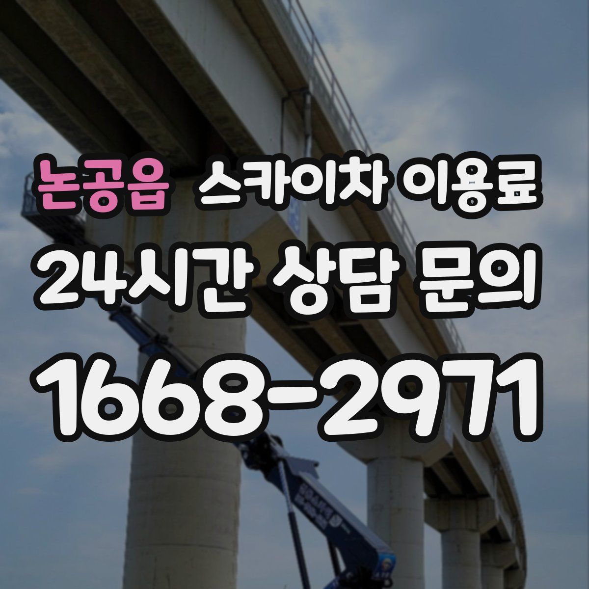 논공읍 스카이차 이용료