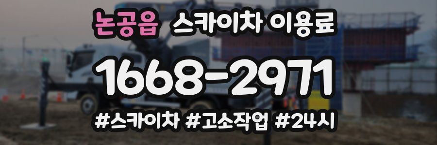 논공읍 스카이차 이용료