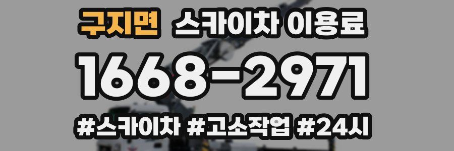 구지면 스카이차 이용료