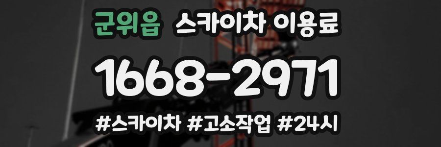 군위읍 스카이차 이용료
