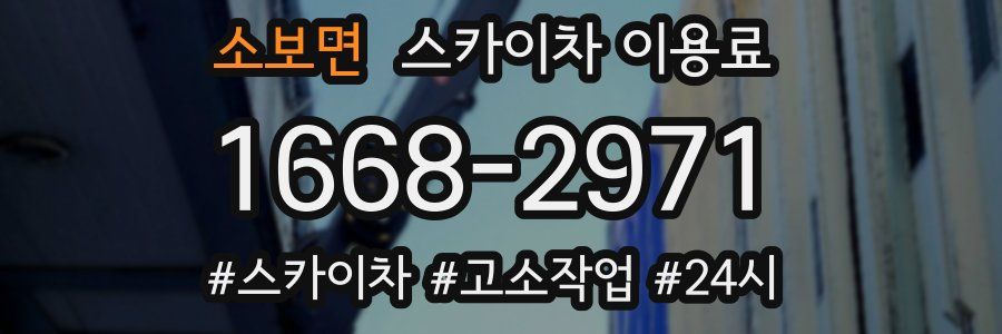 소보면 스카이차 이용료
