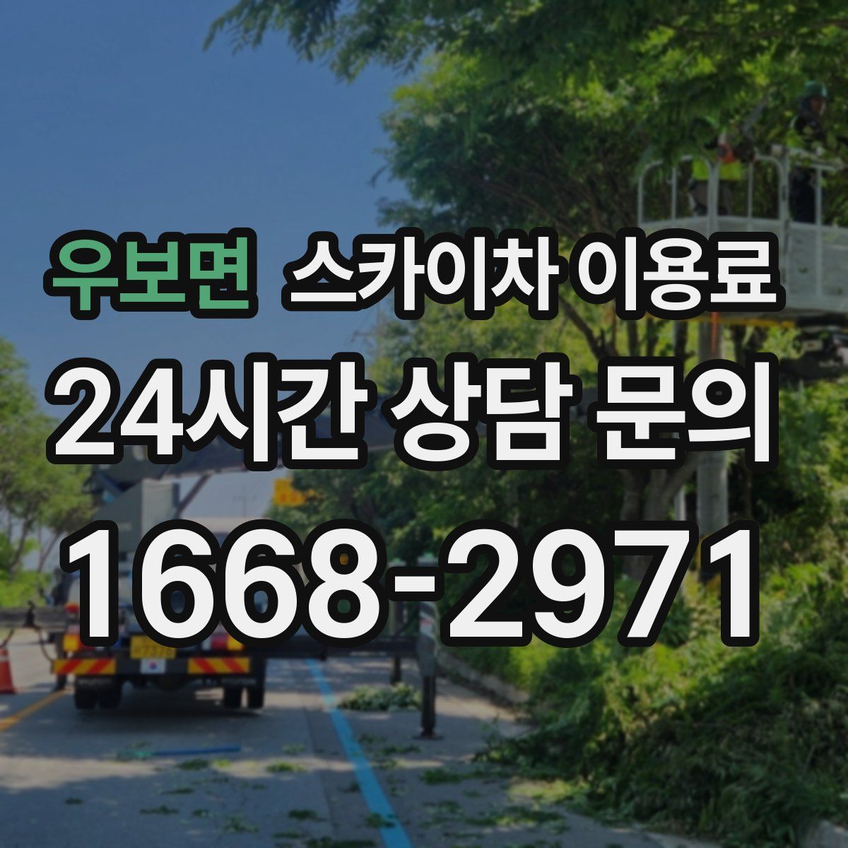 우보면 스카이차 이용료