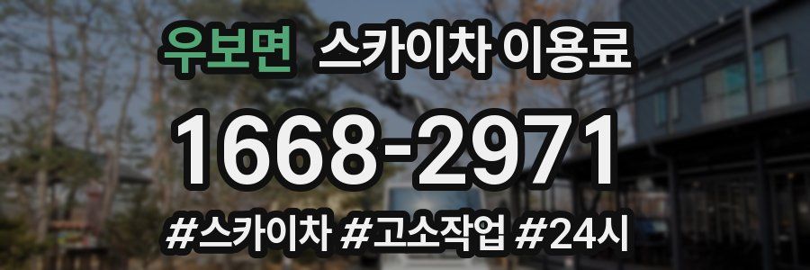 우보면 스카이차 이용료