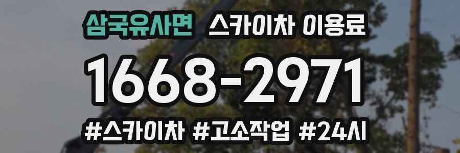 삼국유사면 스카이차 이용료