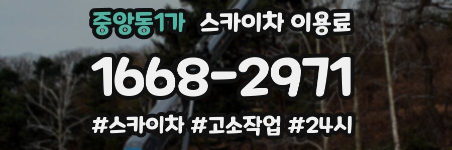 중앙동1가 스카이차 이용료