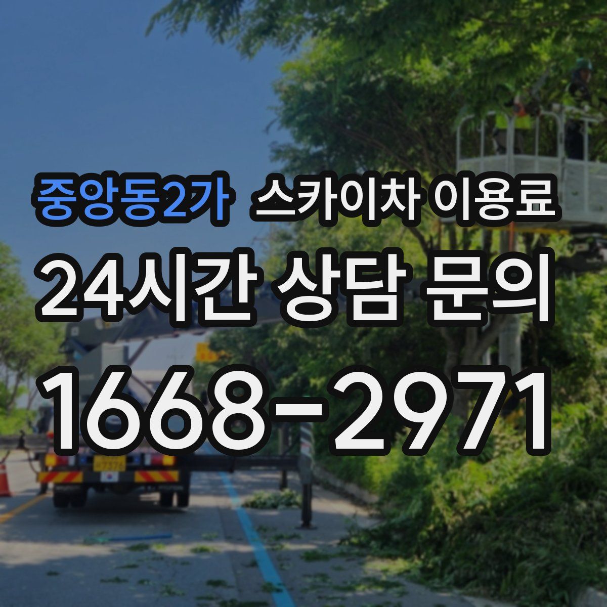 중앙동2가 스카이차 이용료