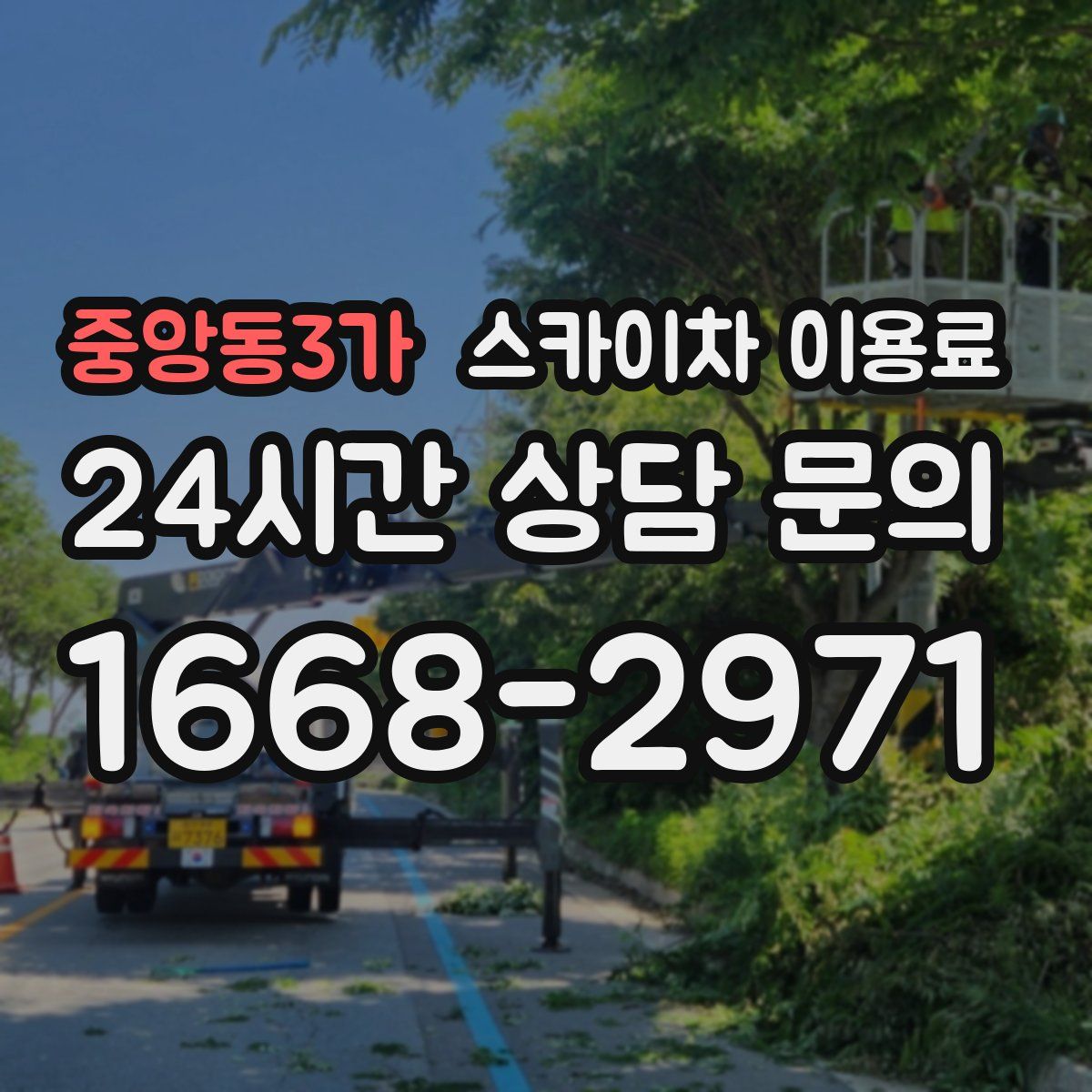 중앙동3가 스카이차 이용료