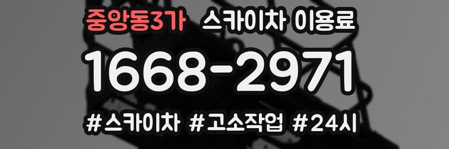중앙동3가 스카이차 이용료