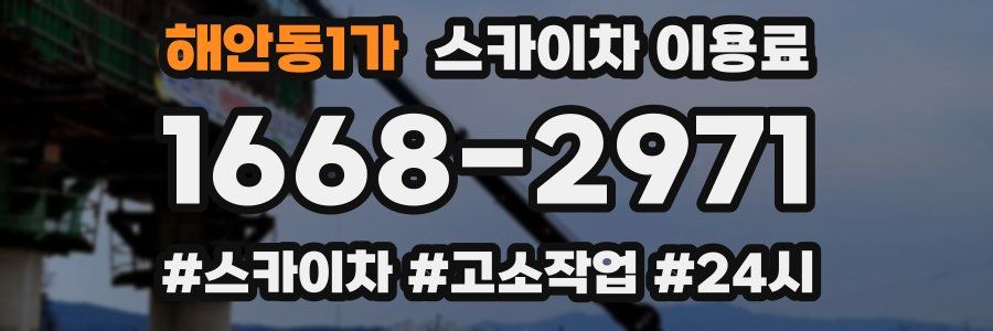 해안동1가 스카이차 이용료