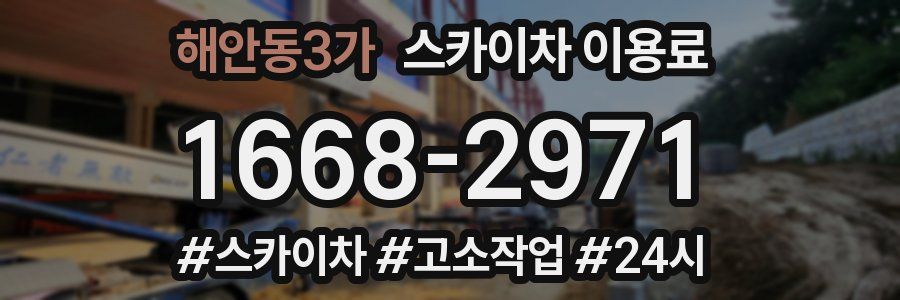 해안동3가 스카이차 이용료