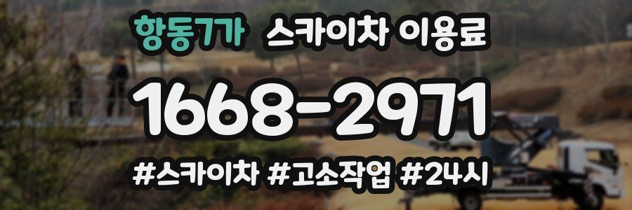 항동7가 스카이차 이용료