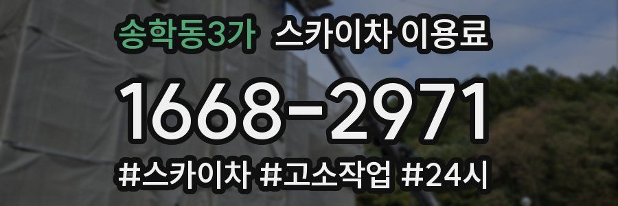 송학동3가 스카이차 이용료