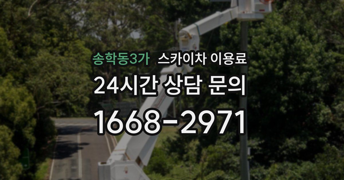송학동3가 스카이차 이용료