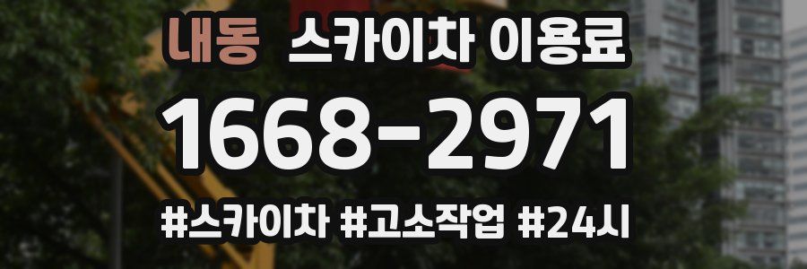 내동 스카이차 이용료