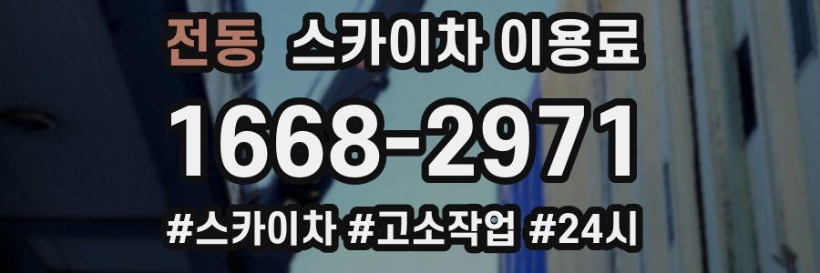 전동 스카이차 이용료
