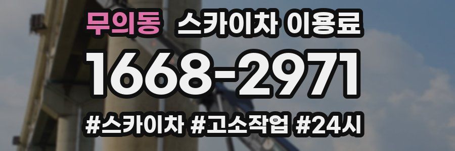 무의동 스카이차 이용료
