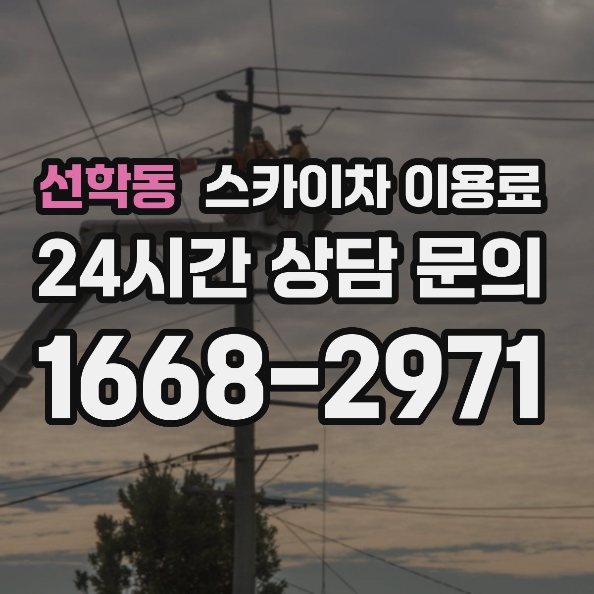 선학동 스카이차 이용료