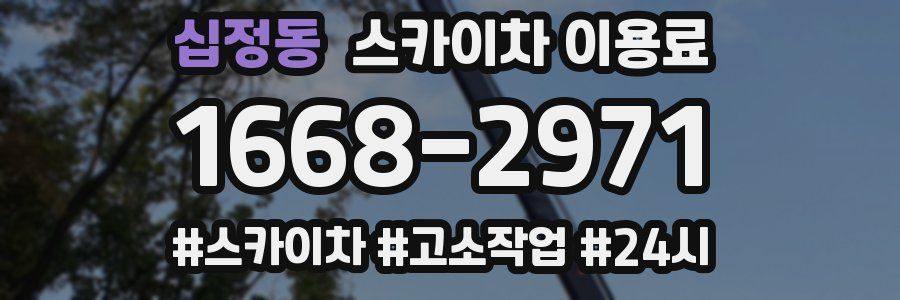 십정동 스카이차 이용료