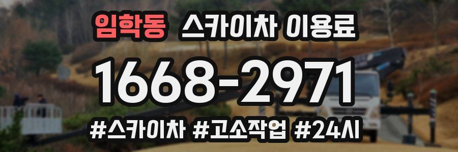 임학동 스카이차 이용료