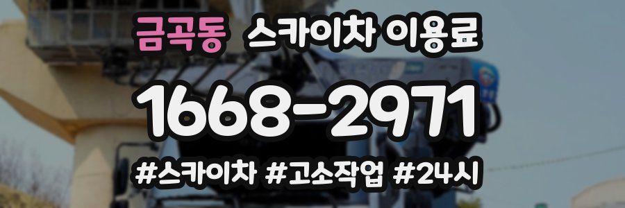 금곡동 스카이차 이용료