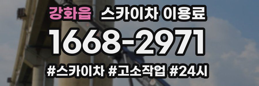 강화읍 스카이차 이용료