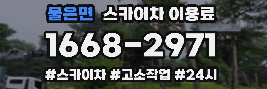 불은면 스카이차 이용료