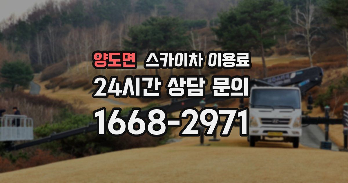양도면 스카이차 이용료