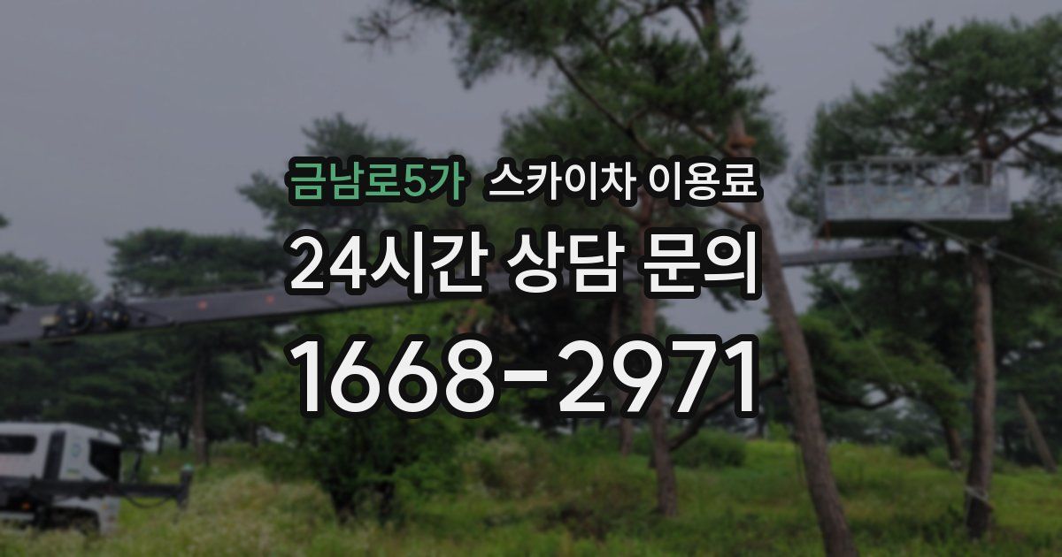 금남로5가 스카이차 이용료