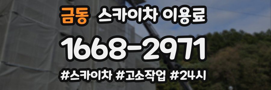 금동 스카이차 이용료