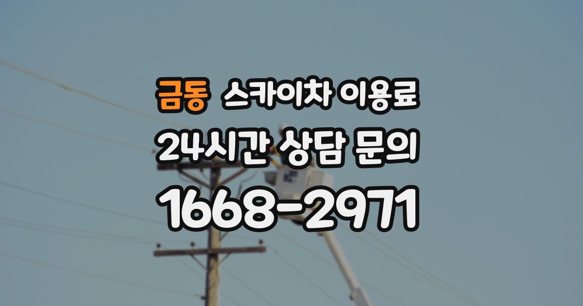 금동 스카이차 이용료