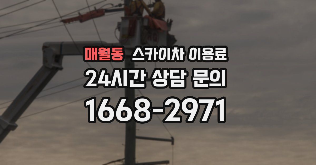 매월동 스카이차 이용료