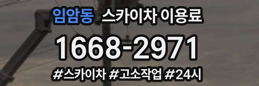 임암동 스카이차 이용료