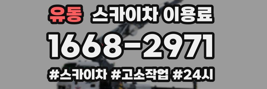 유동 스카이차 이용료