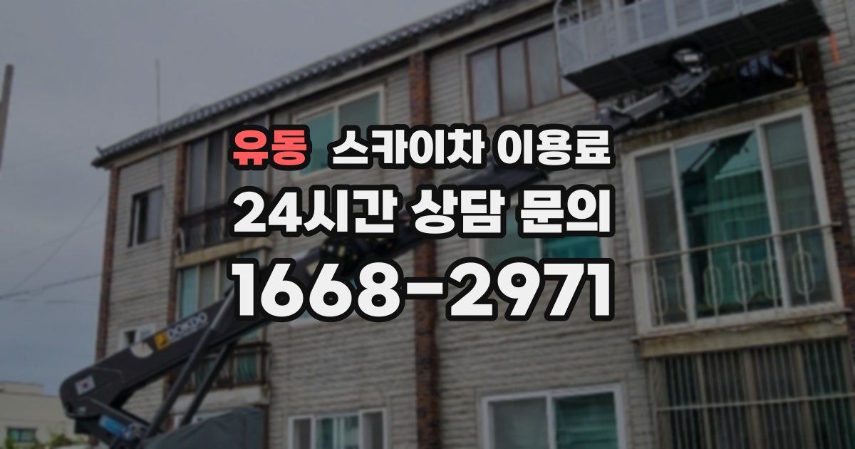 유동 스카이차 이용료