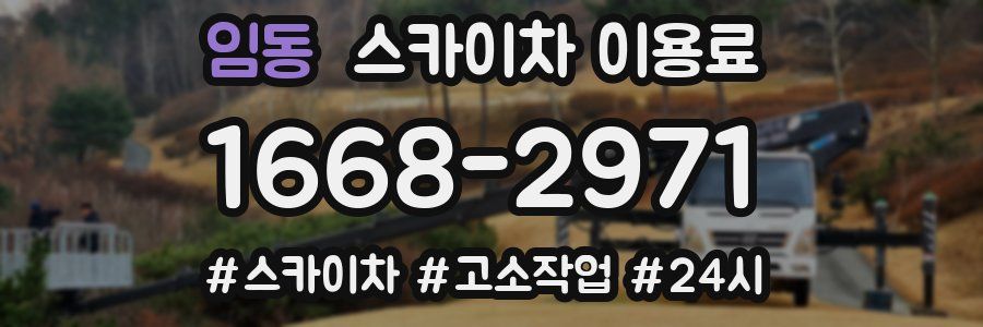 임동 스카이차 이용료