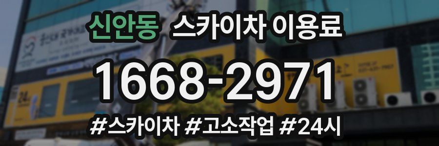신안동 스카이차 이용료