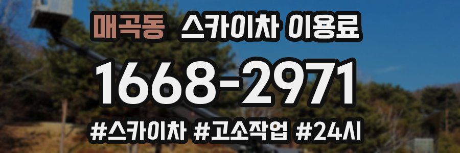 매곡동 스카이차 이용료