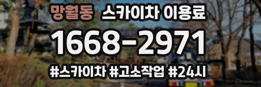 망월동 스카이차 이용료
