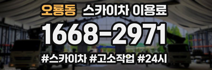 오룡동 스카이차 이용료