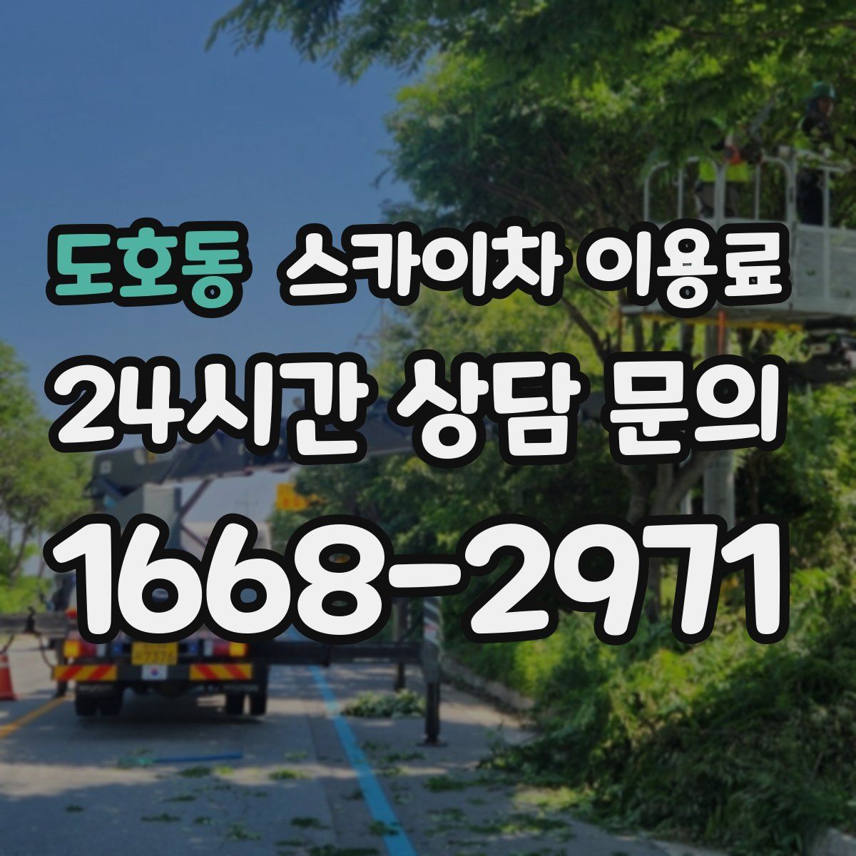 도호동 스카이차 이용료