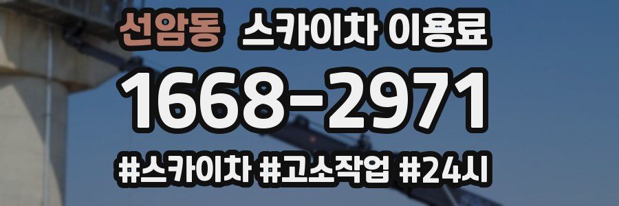선암동 스카이차 이용료