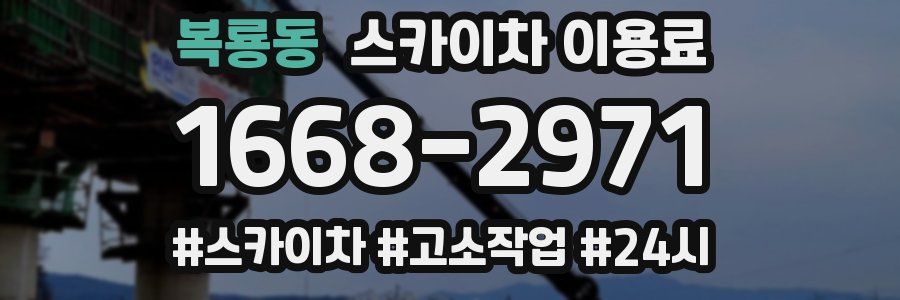복룡동 스카이차 이용료