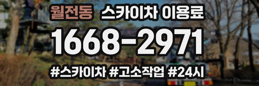 월전동 스카이차 이용료