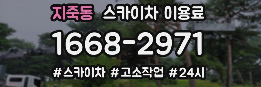 지죽동 스카이차 이용료