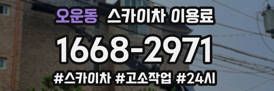 오운동 스카이차 이용료