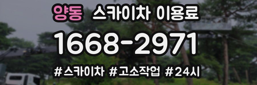 양동 스카이차 이용료