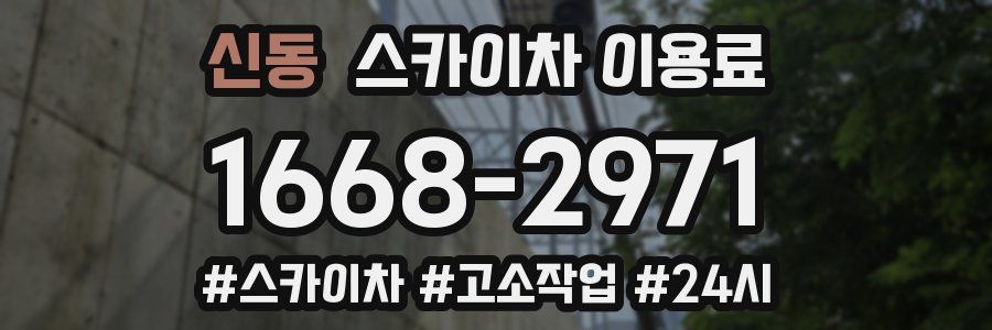 신동 스카이차 이용료