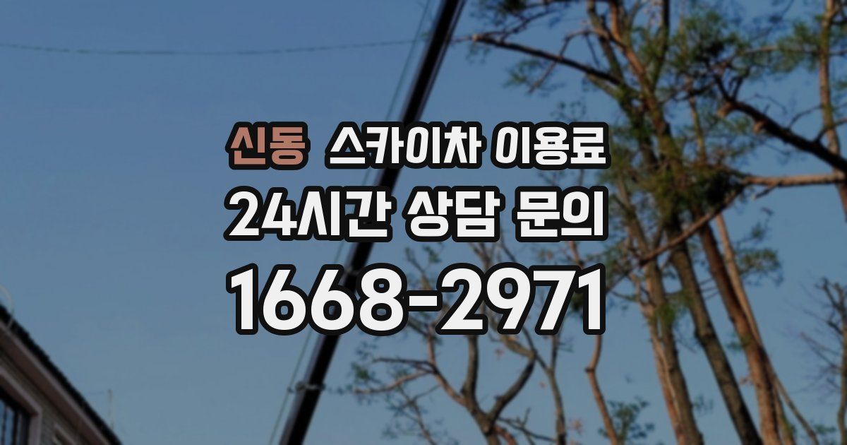 신동 스카이차 이용료