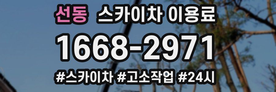 선동 스카이차 이용료