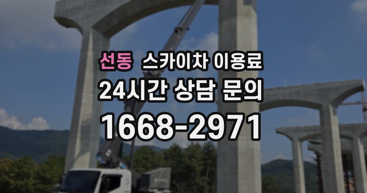 선동 스카이차 이용료